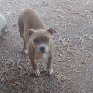 Meet your Posher, Walter wawa